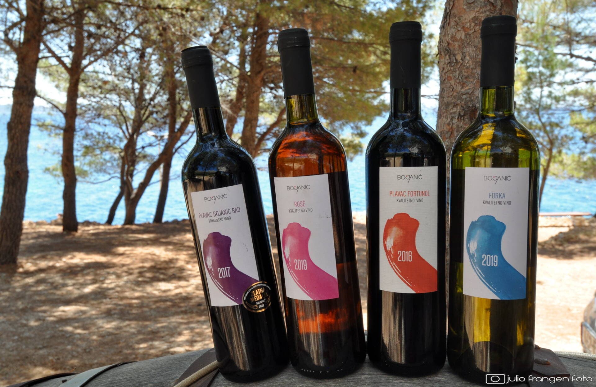 Hero image Bojanić Winery